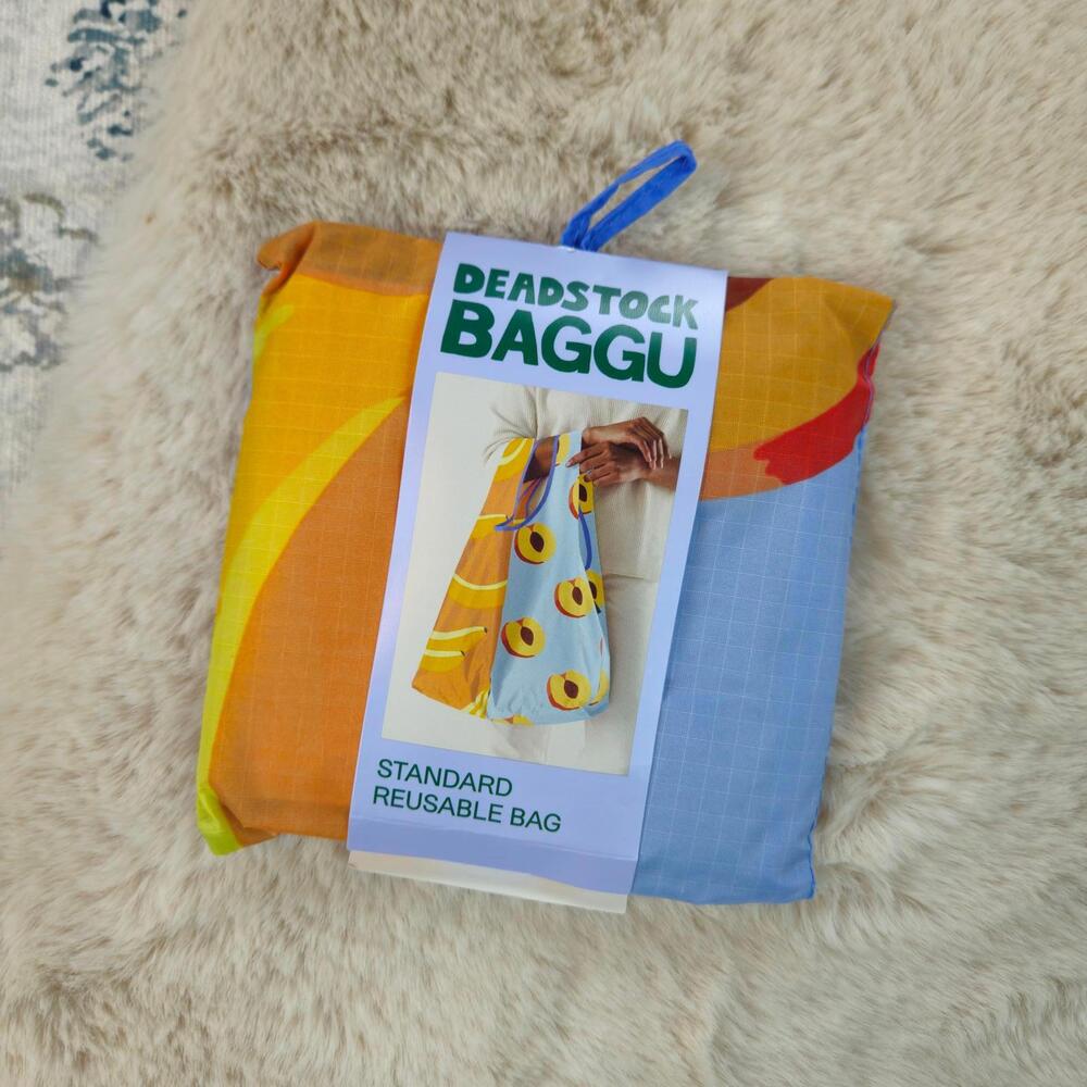 Baggu Deadstock Smoothie Standard Reusable Nylon Bag